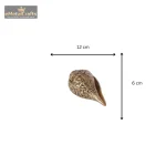 Brass Ganesha Design Shankh Showpiece For Home 5 116 eMetalCrafts